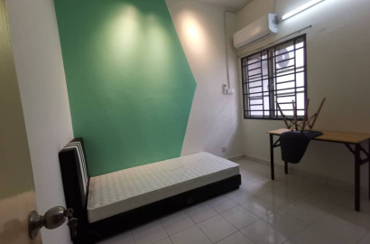 Bandar Bukit Tinggi 2 Single Room