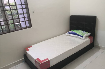 Bandar Bukit Tinggi 2 Single Room For Rent